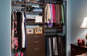 Organized reach-in closet in blue bedroom