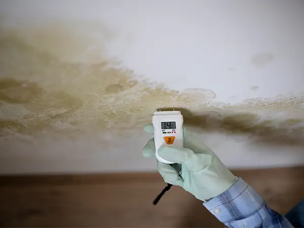 Mold inspection in a closet