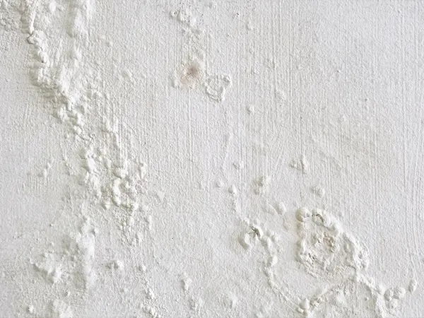 mold on closet wall