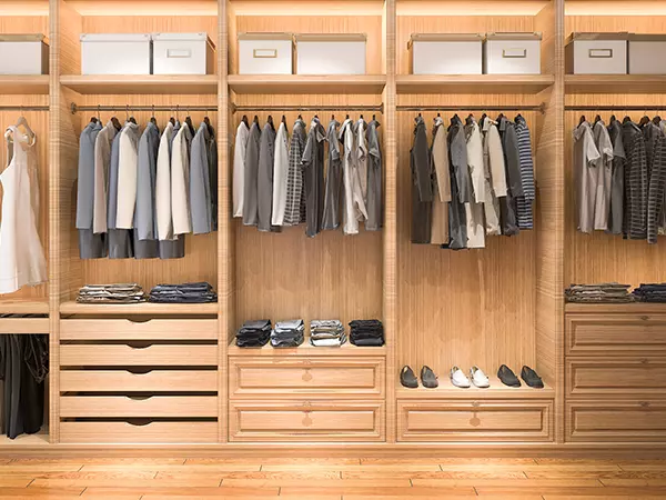Best Closet Systems In Bellevue reach in closet