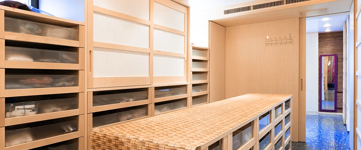Giant walk-in closet with drawers and pull-put shelves